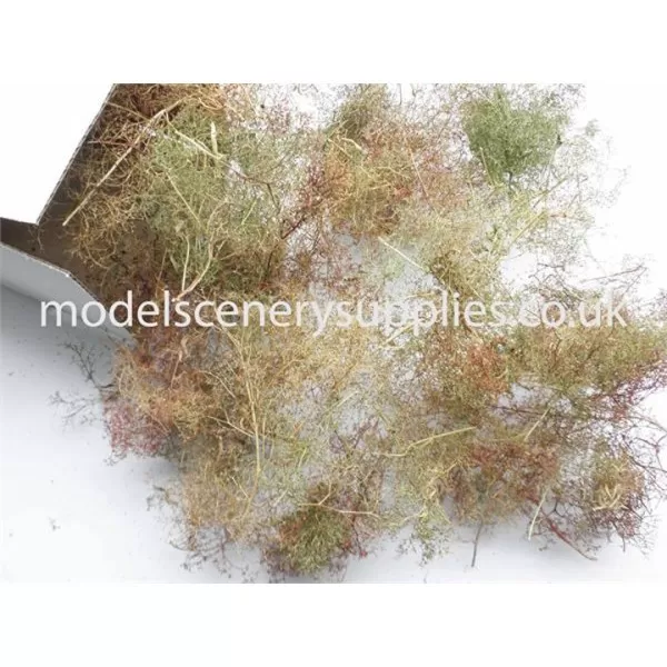 Seafoam Bushes and undergrowth