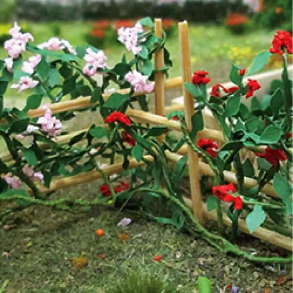 OO Plants and Flowers