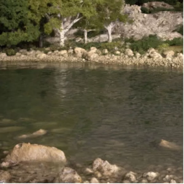 Water by Woodland Scenics