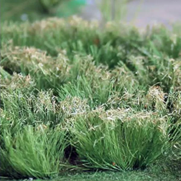 Static Grass and Grass Tufts 