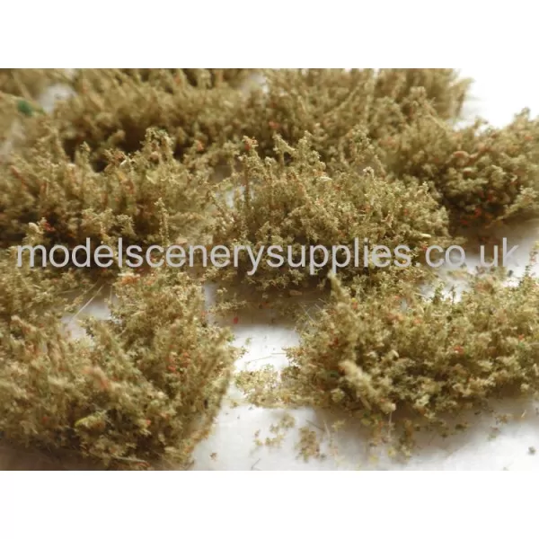 Shaped Bushes Desert 