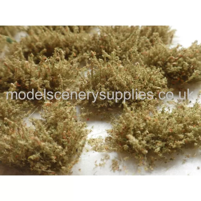 Shaped Bushes Desert 