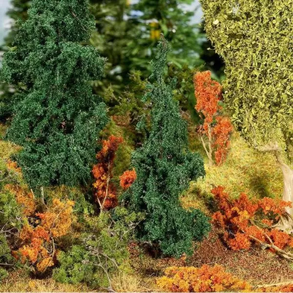 Undergrowth Small Trees Autumn Mixed