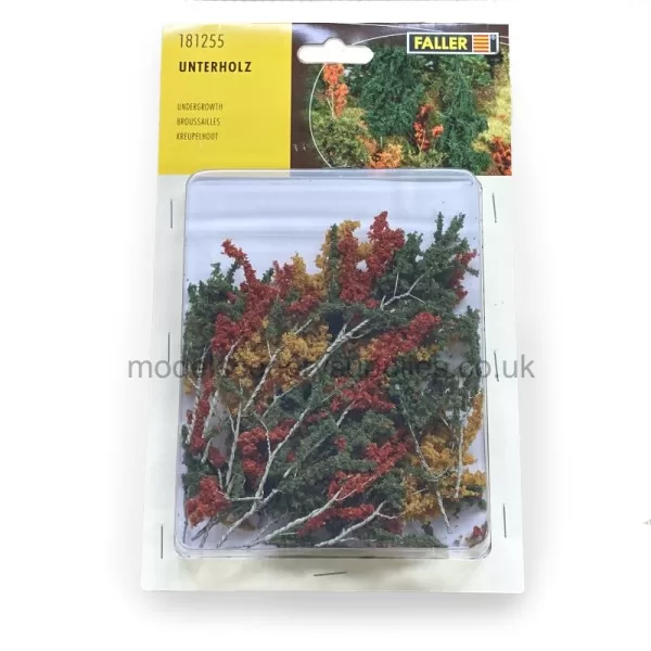 Undergrowth Small Trees Autumn Mixed