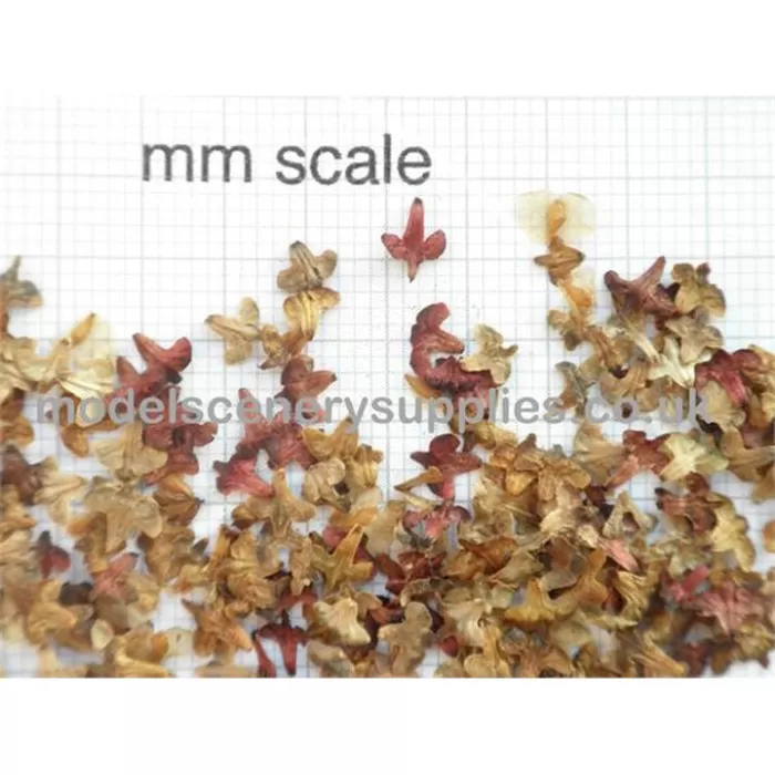 Miniature Model Leaves NATURAL