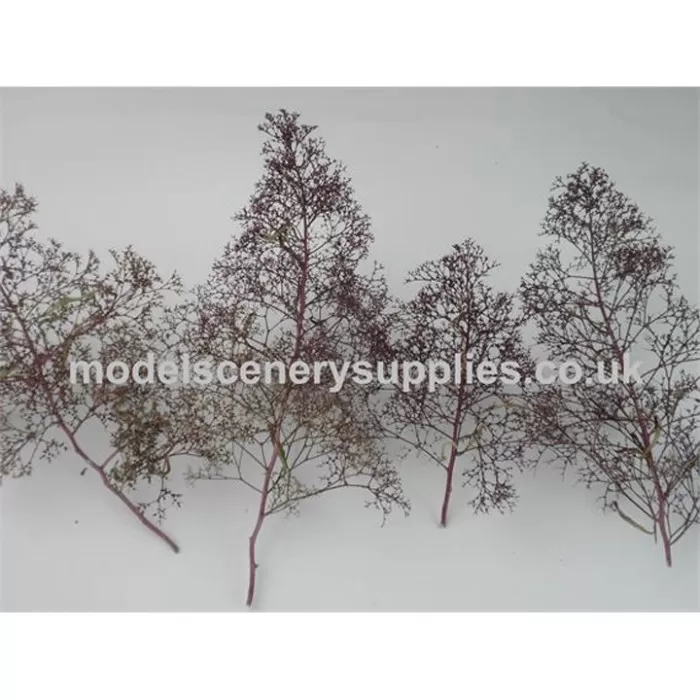 Seafoam Trees, Specimen 