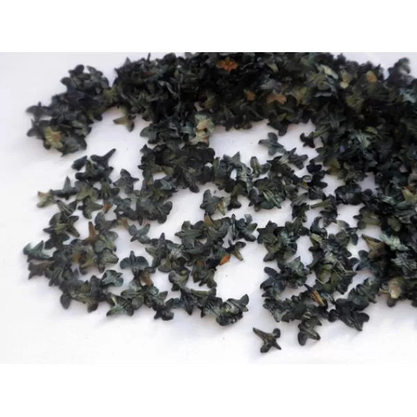 Miniature Model Leaves GREEN