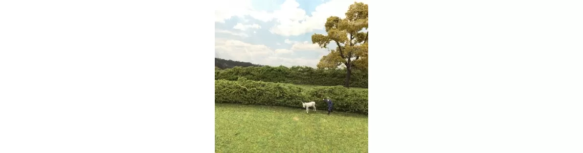 Model Hedgerows