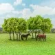 Wooded Tree Copse 80mm tall