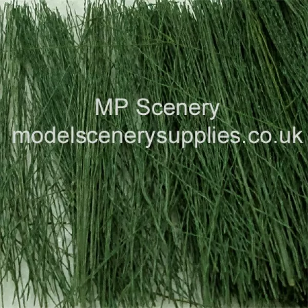 Tall Grass or Reeds Dark Green Coarse