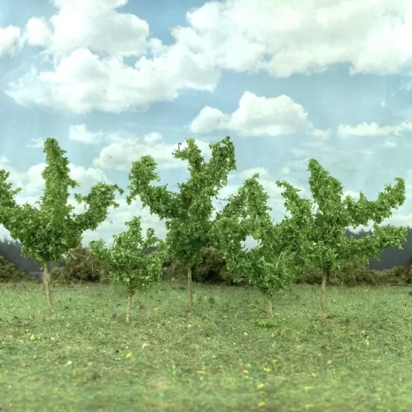 Saplings Medium Green