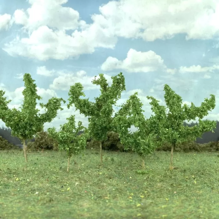 Saplings Medium Green