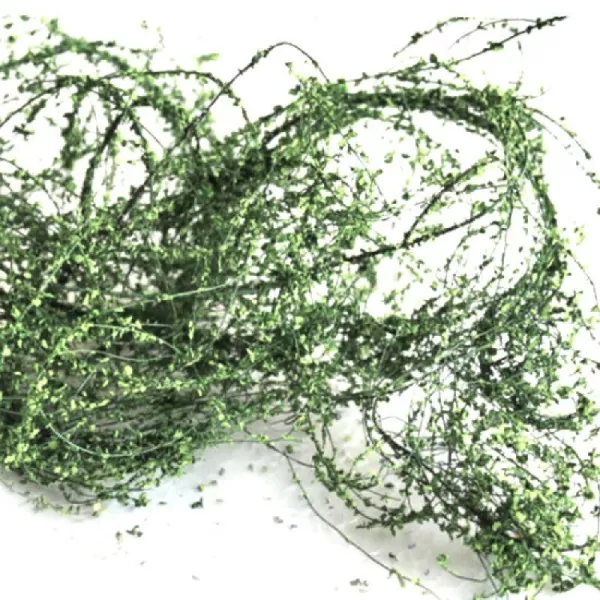 Climbing Vines Dark Green All scales