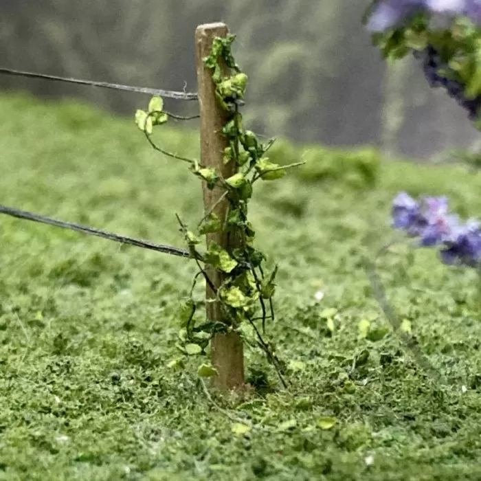 Climbing Vines with flowers All Scales