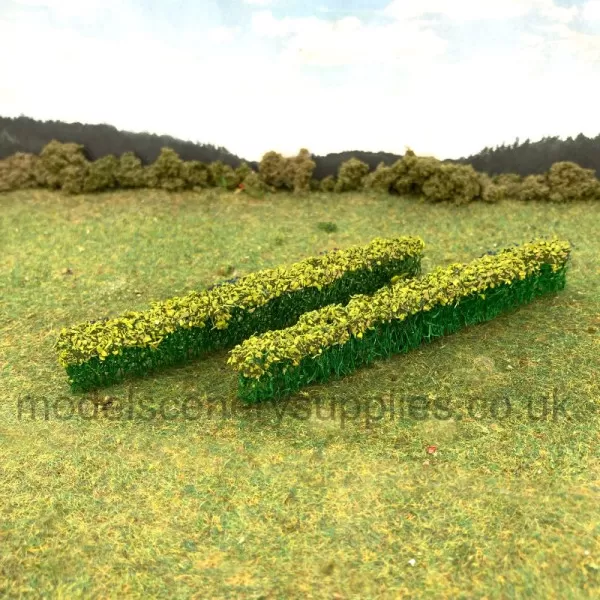 Green Hedge