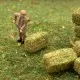 Hay Bales Square 1:76 scale OO