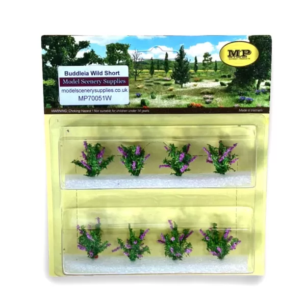 Buddleia Wild SHORT   MP70051W