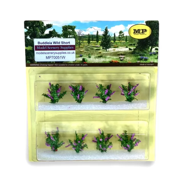 Buddleia Wild SHORT   MP70051W