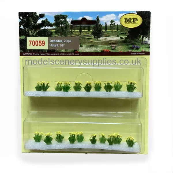 Daffodils Medium Height OO