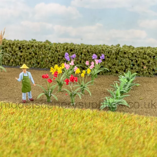 Garden Flower Plants 20 pack