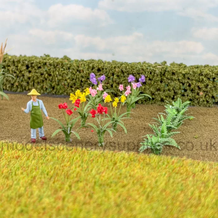 Garden Flower Plants 20 pack