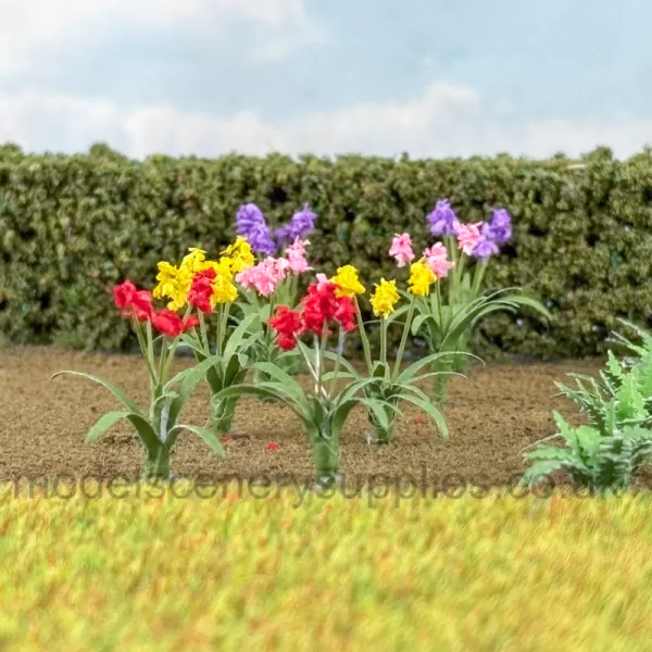 Garden Flower Plants 20 pack