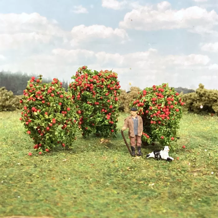 Apple Trees 40mm tall