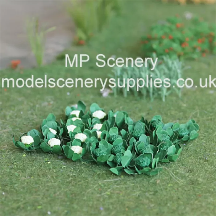 Broccoli and Cauliflower 1:32 scale