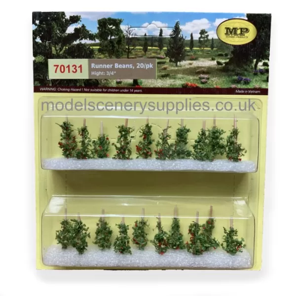 Runner Bean Plants OO