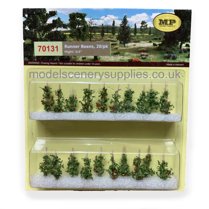 Runner Bean Plants OO