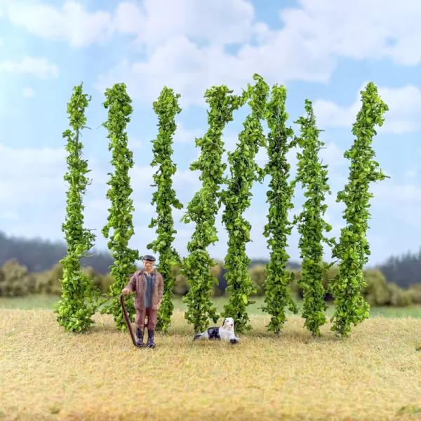 Hops Vine Plants OO / TT 