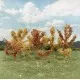 Saplings Small Trees Autumn shades Blend