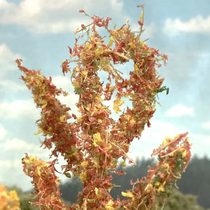 Saplings Small Trees Autumn shades Blend