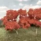 Maple Trees Small 50mm tall