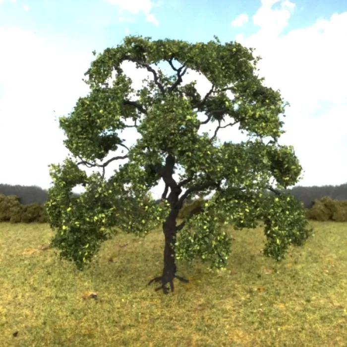 English Oak Large 130mm tall