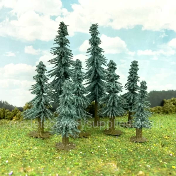 Blue Spruce Trees 36 Bulk Pack Short