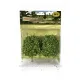 Apple Trees Green Or Pear Trees  80mm tall MP70906
