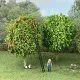 Apple Trees  Red 80mm tall MP70908
