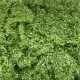 Foliage Mat, Coarse Medium Green