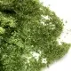 Foliage Mat, Coarse Medium Green