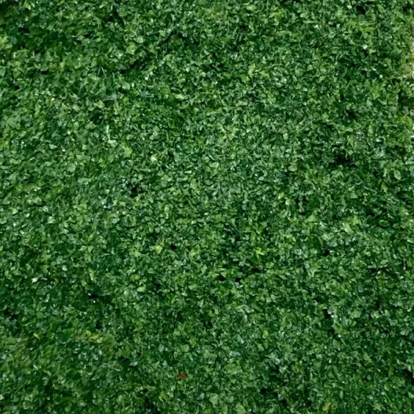 Foliage Mat Coarse Dark Green
