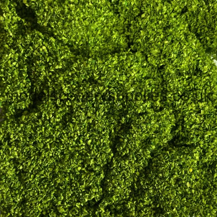 Foliage Mat with Leaves, Light Green