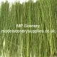 Tall Grass or Reeds  Light Green Coarse