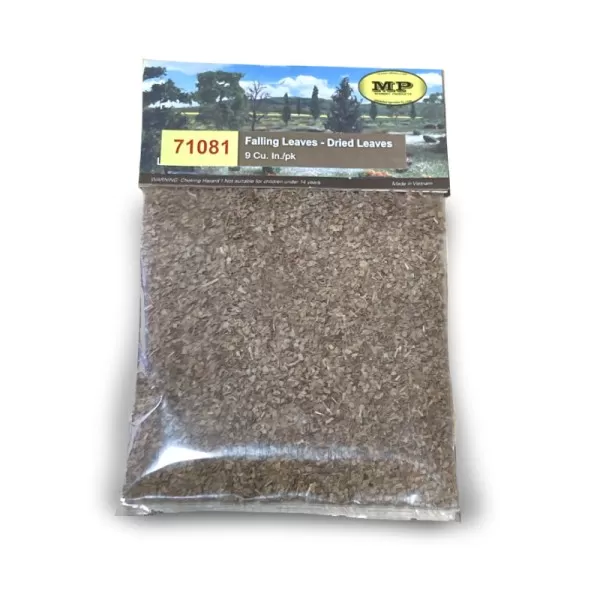 Leaves Dried Dead Loose Leaf Foliage 