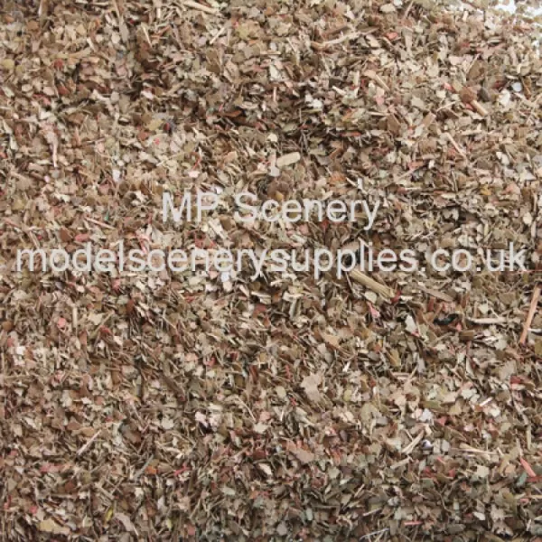 Leaves Dried Dead Loose Leaf Foliage 