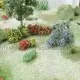 Flower Bushes Small