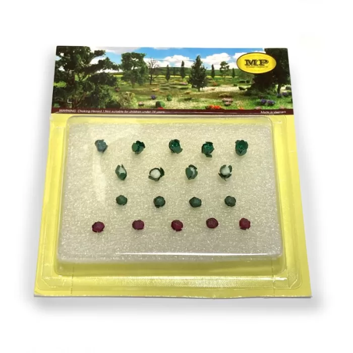 Broccoli, Cauliflower, Cabbage,  Mixed Pack OO