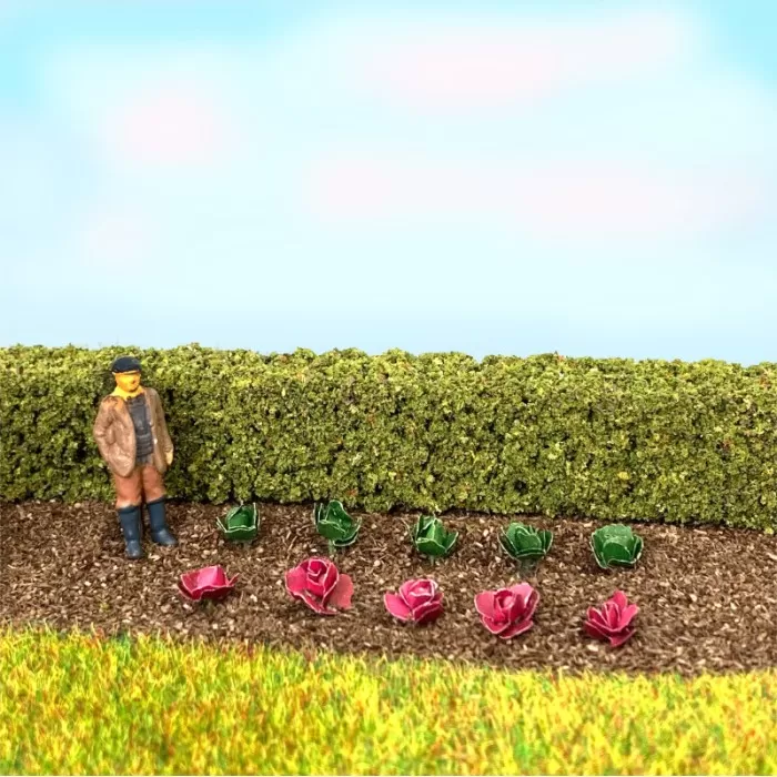 Cabbages and Lettuces  TT OO