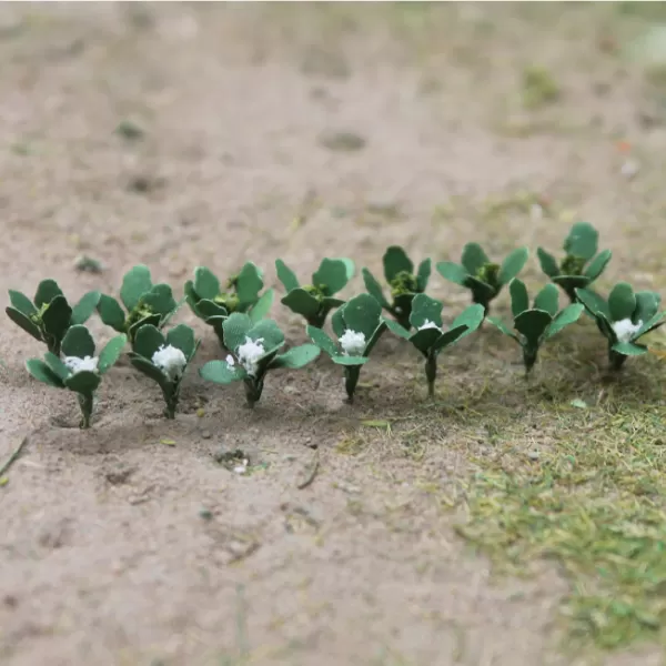 Broccoli and Cauliflowers N gauge
