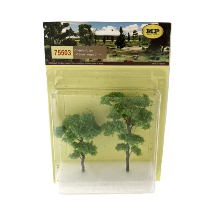 Chestnut Trees 70 - 95mm Tall 